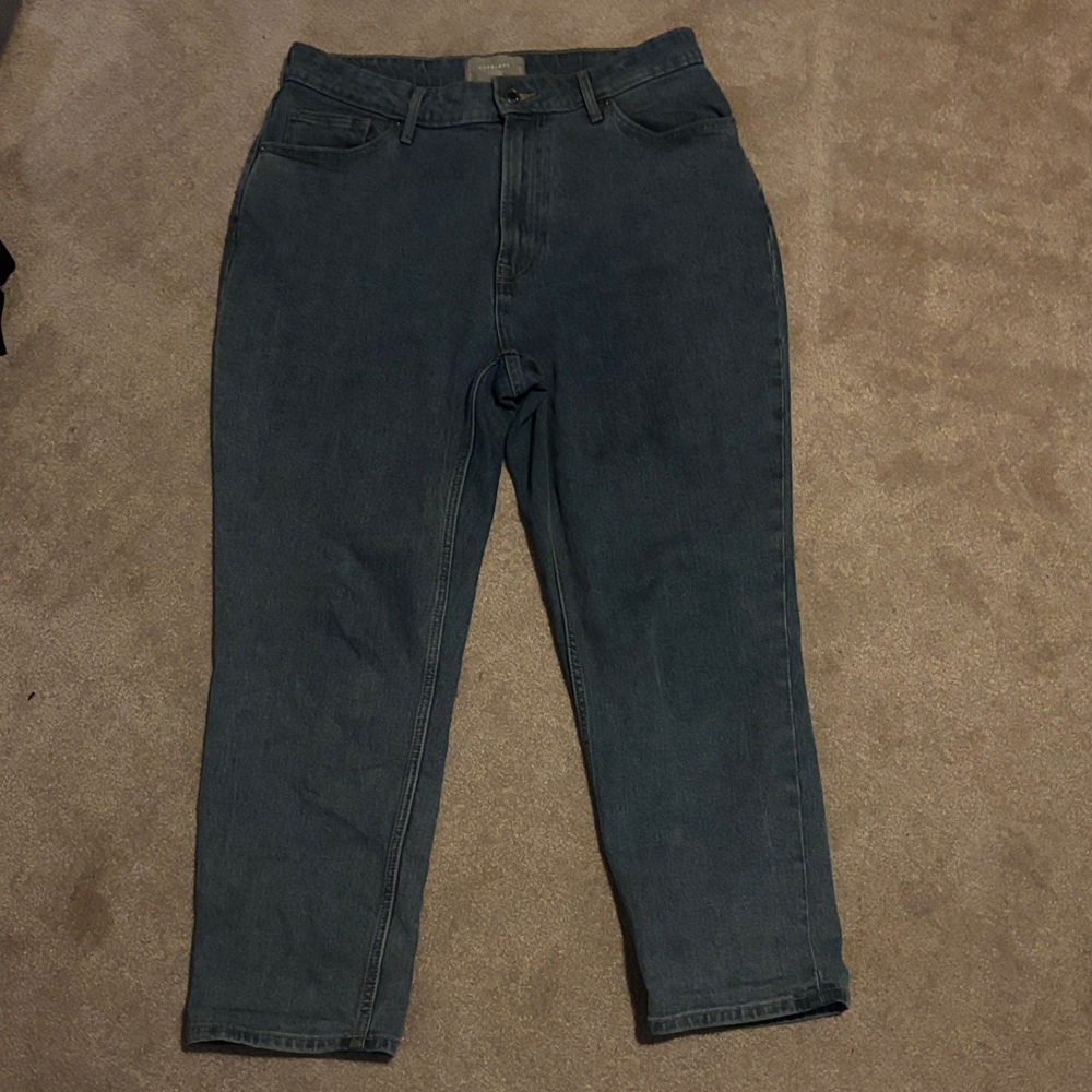 Everlane Classic Blue Jeans Crop Size 31